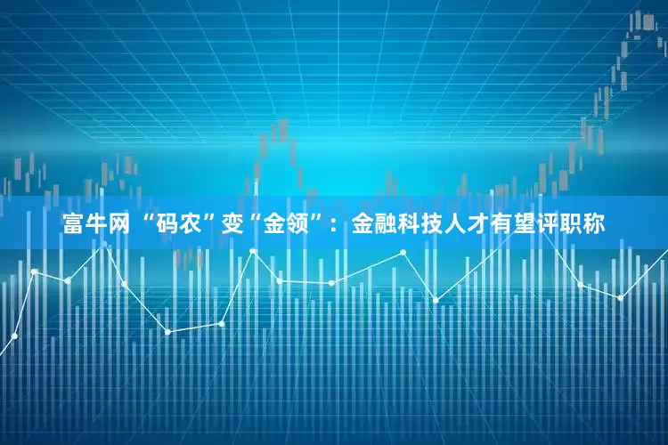 富牛网 “码农”变“金领”：金融科技人才有望评职称
