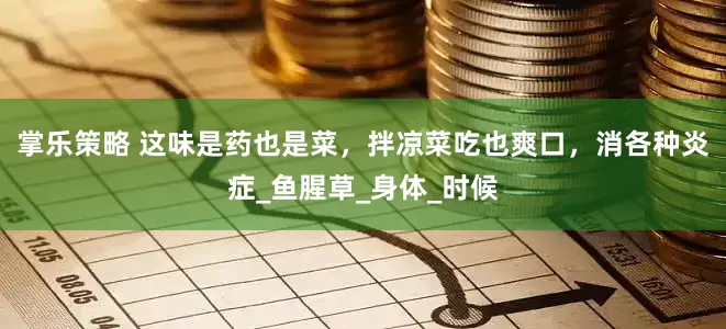 掌乐策略 这味是药也是菜，拌凉菜吃也爽口，消各种炎症_鱼腥草_身体_时候
