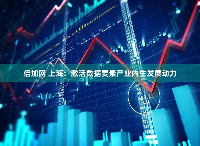 倍加网 上海：激活数据要素产业内生发展动力