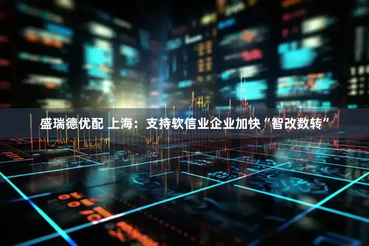 盛瑞德优配 上海：支持软信业企业加快“智改数转”