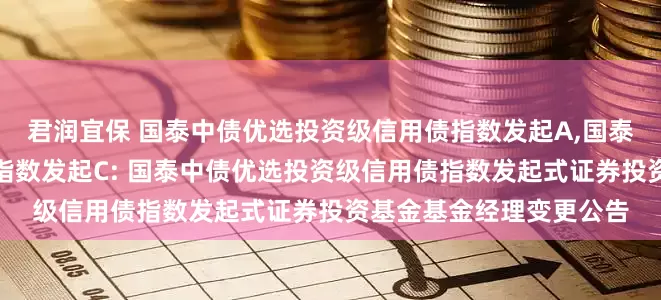 君润宜保 国泰中债优选投资级信用债指数发起A,国泰中债优选投资级信用债指数发起C: 国泰中债优选投资级信用债指数发起式证券投资基金基金经理变更公告